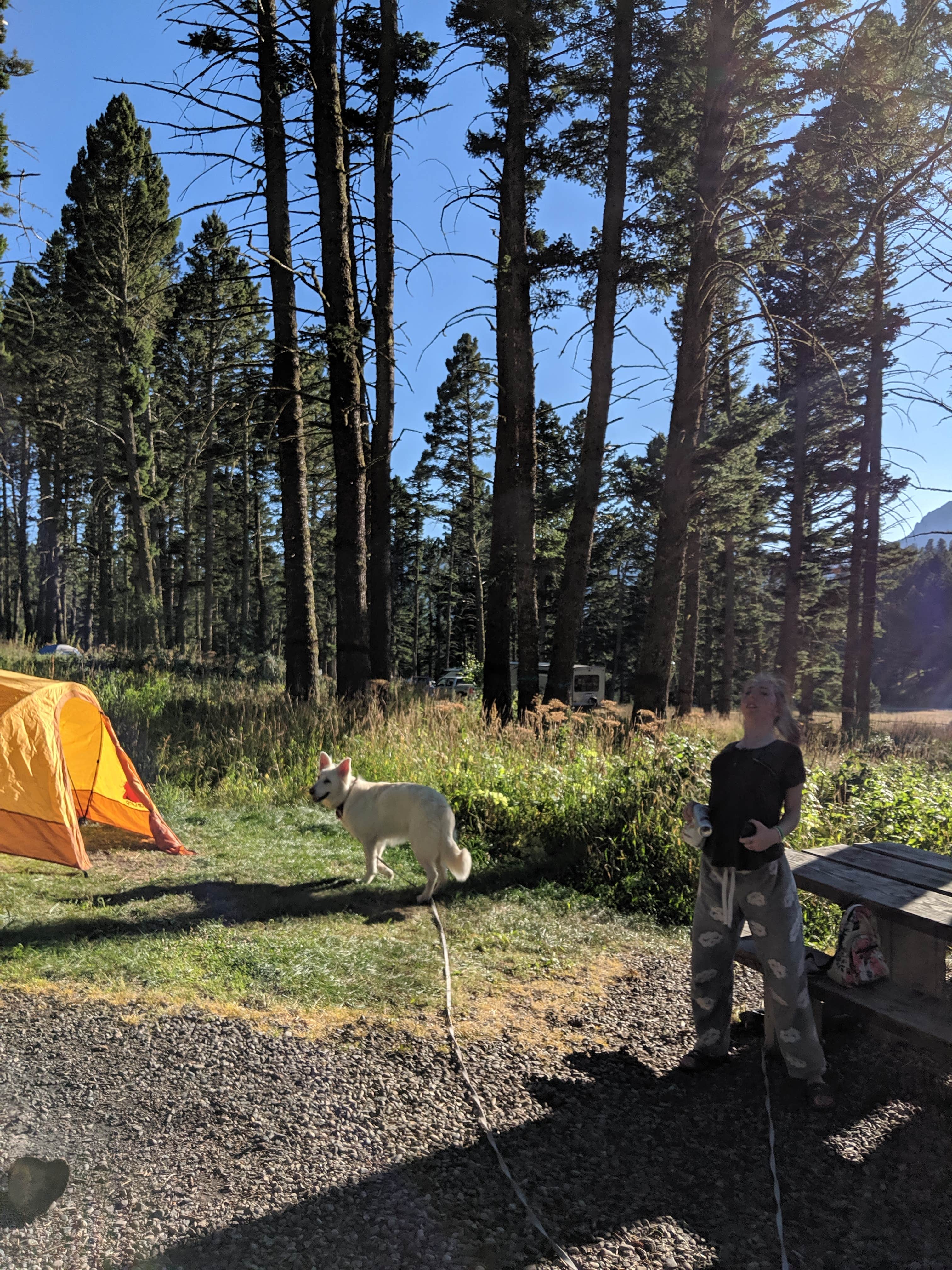 Annika W.'s photo at Battle Ridge Campground near Bozeman, MT