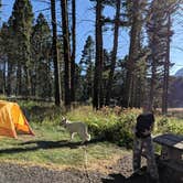 Review photo of Battle Ridge Campground by Annika W., August 29, 2019