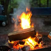 Review photo of Trap Pond State Park Campground by Christine K., August 29, 2019