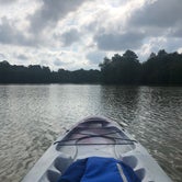 Review photo of Trap Pond State Park Campground by Christine K., August 29, 2019