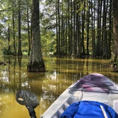 Review photo of Trap Pond State Park Campground by Christine K., August 29, 2019