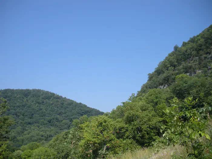 Camper submitted image from Wilderness Road Campground - 1