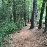 Review photo of Trap Pond State Park Campground by Christine K., August 29, 2019