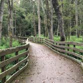 Review photo of Trap Pond State Park Campground by Christine K., August 29, 2019