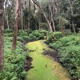 Review photo of Trap Pond State Park Campground by Christine K., August 29, 2019