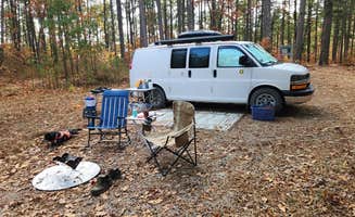 Fred S.'s photo of camping with pets at Blue Knob Road in Ouachita National Forest near Langley, AR
