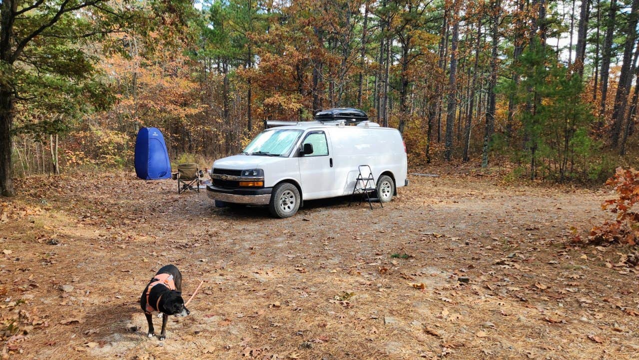 Camper submitted image from Blue Knob Road in Ouachita National Forest - 3