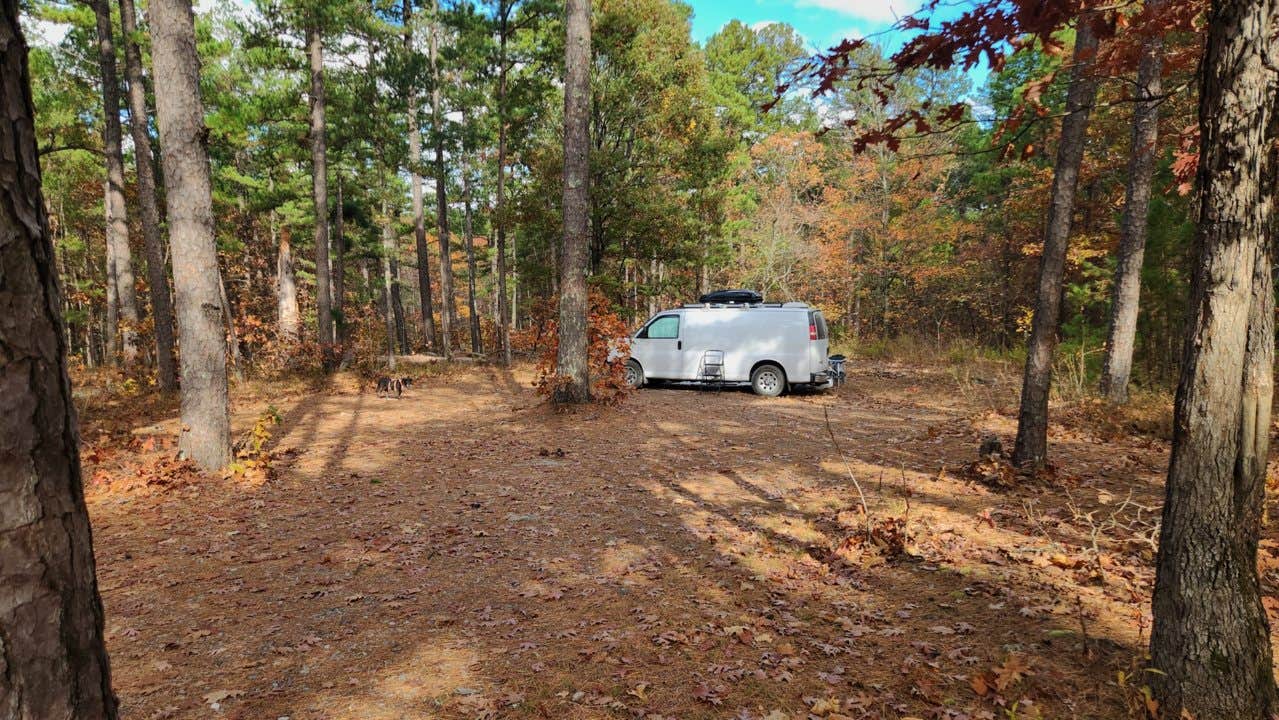 Camper-submitted photo at Blue Knob Road in Ouachita National Forest near Oden, AR