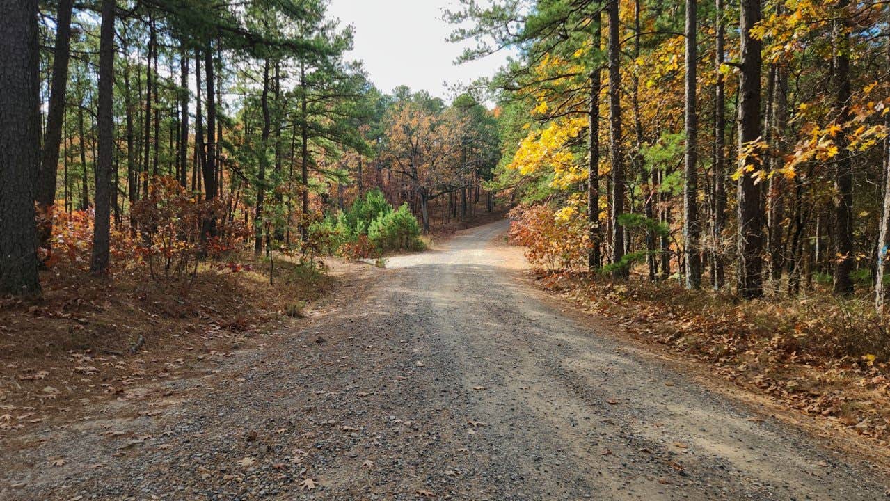 Camper-submitted photo at Blue Knob Road in Ouachita National Forest near Oden, AR