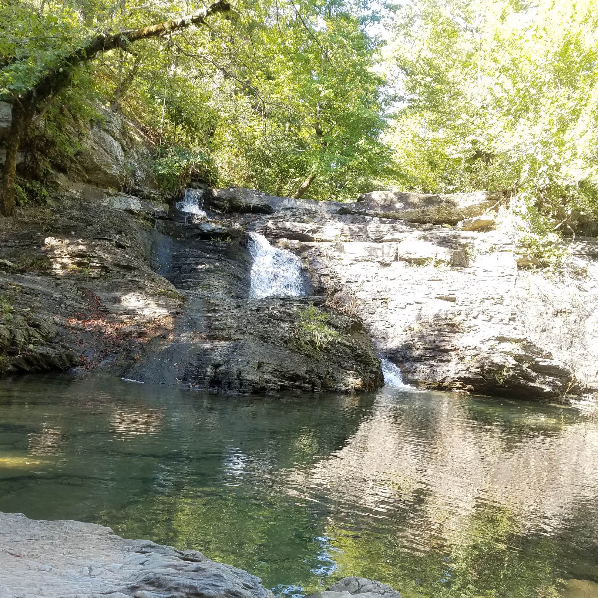 Charlton Campground Camping The Dyrt