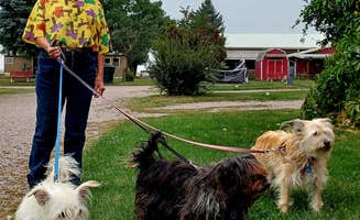 Bonnie A.'s photo of camping with pets at Diamond S RV Park near Condon, MT