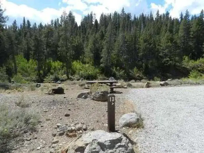 Camper-submitted photo at Upper Little Truckee near Clio, CA