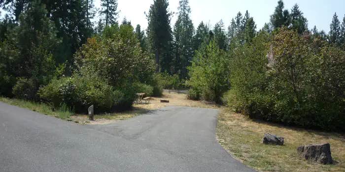 Camper submitted image from Hunters Campground