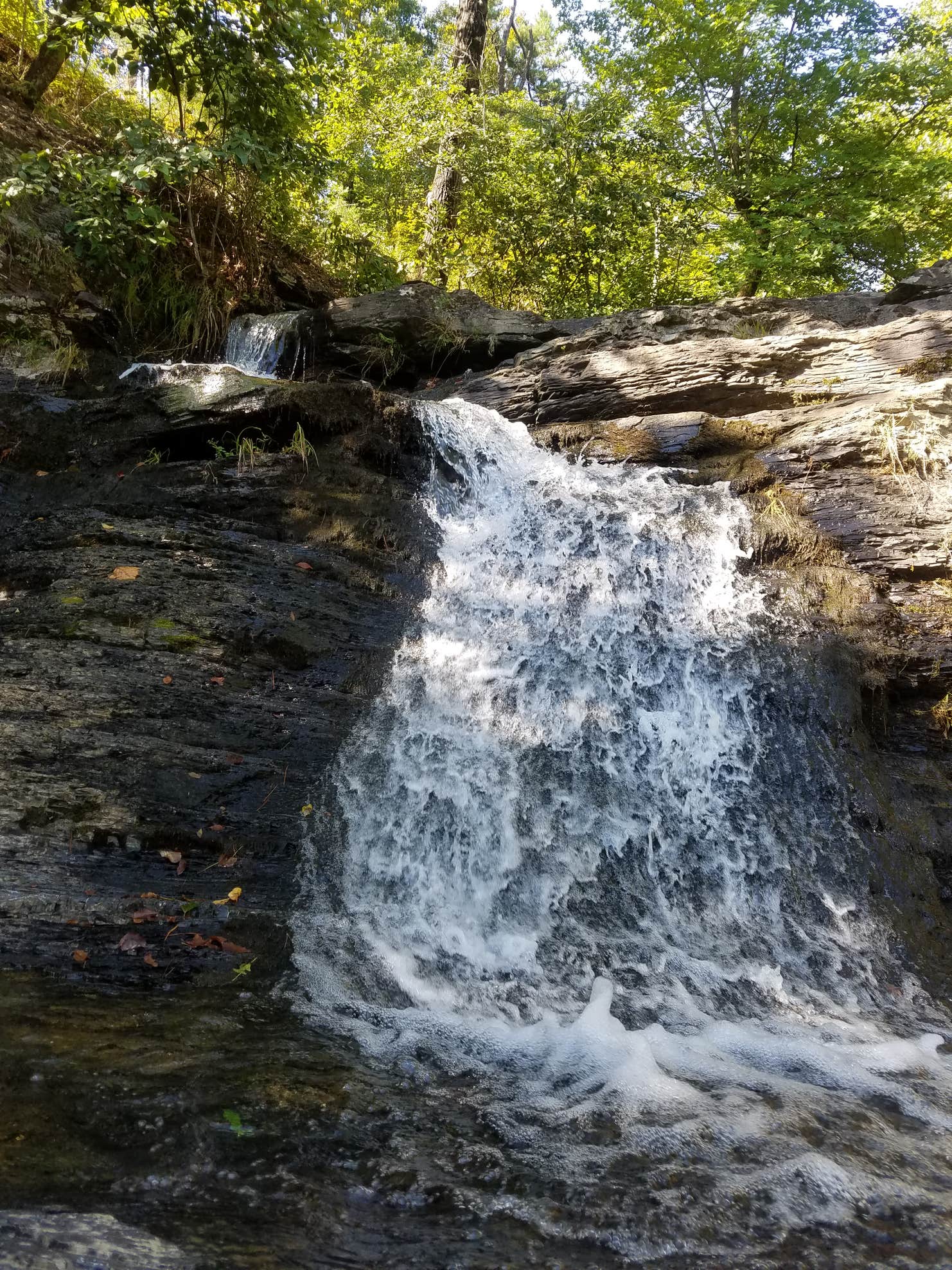 Charlton Campground Camping The Dyrt