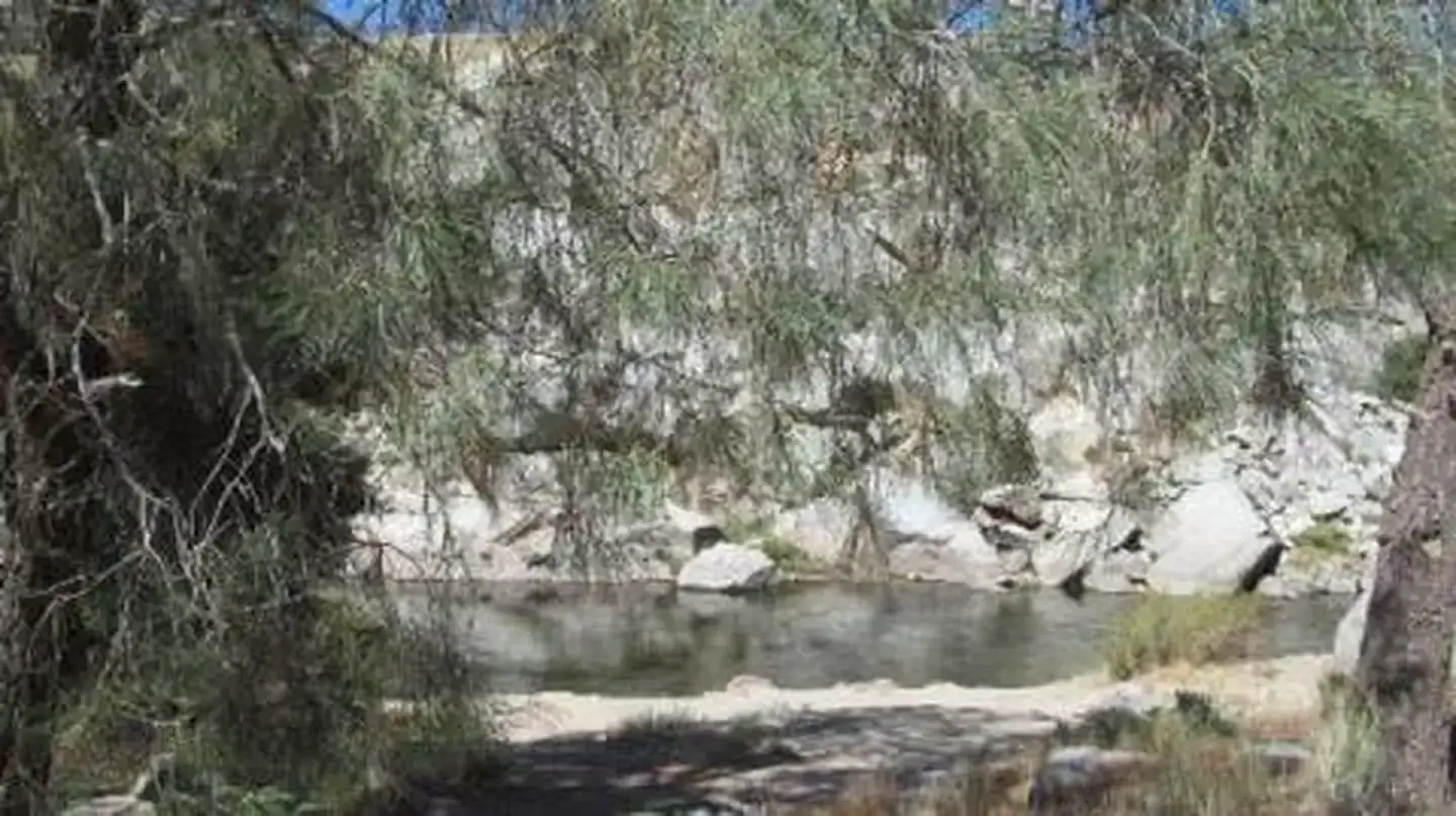 Camper-submitted photo at Sandy Flat near Lake Isabella, CA