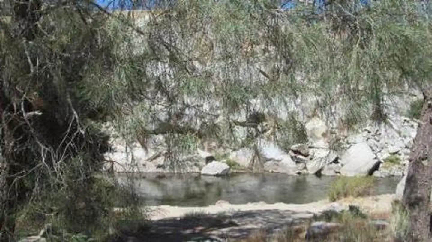 Camper submitted image from Sandy Flat - 1