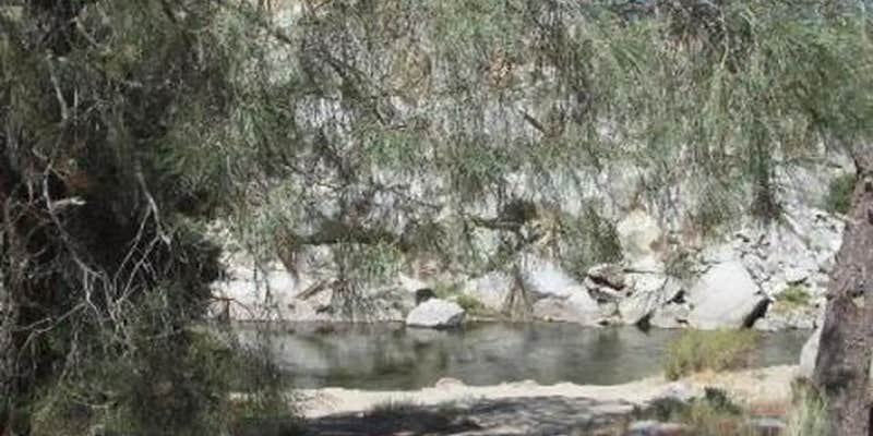 Camper submitted image from Sandy Flat