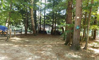 Jean C.'s photo at Pemi River Campground near Plymouth, NH
