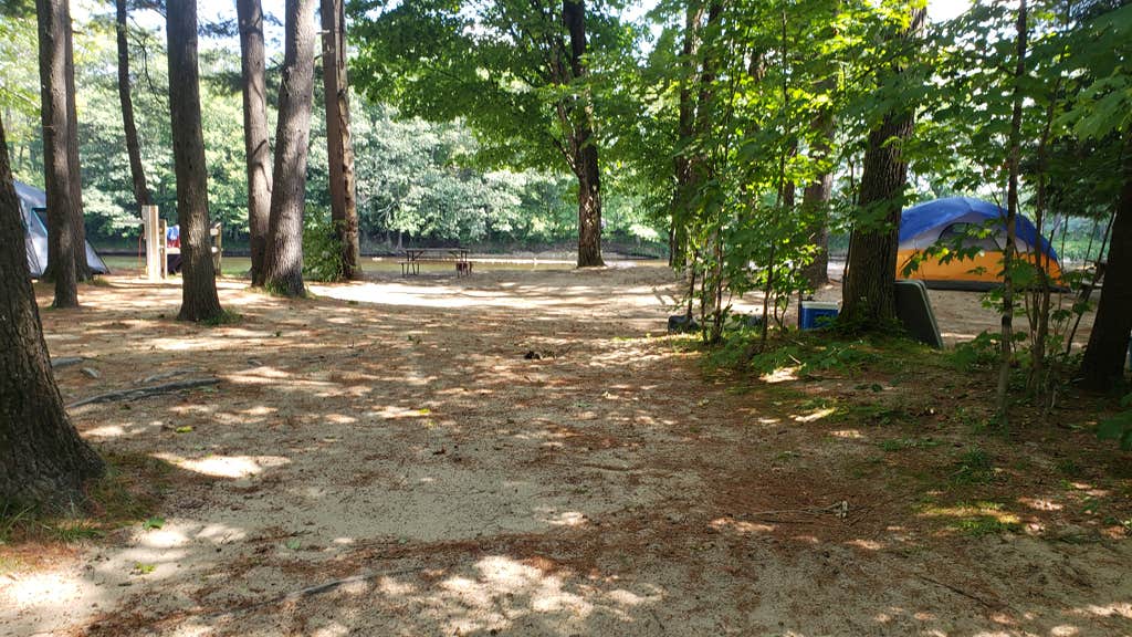 Pemi River Campground The Dyrt