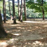 Review photo of Pemi River Campground by Jean C., August 29, 2019