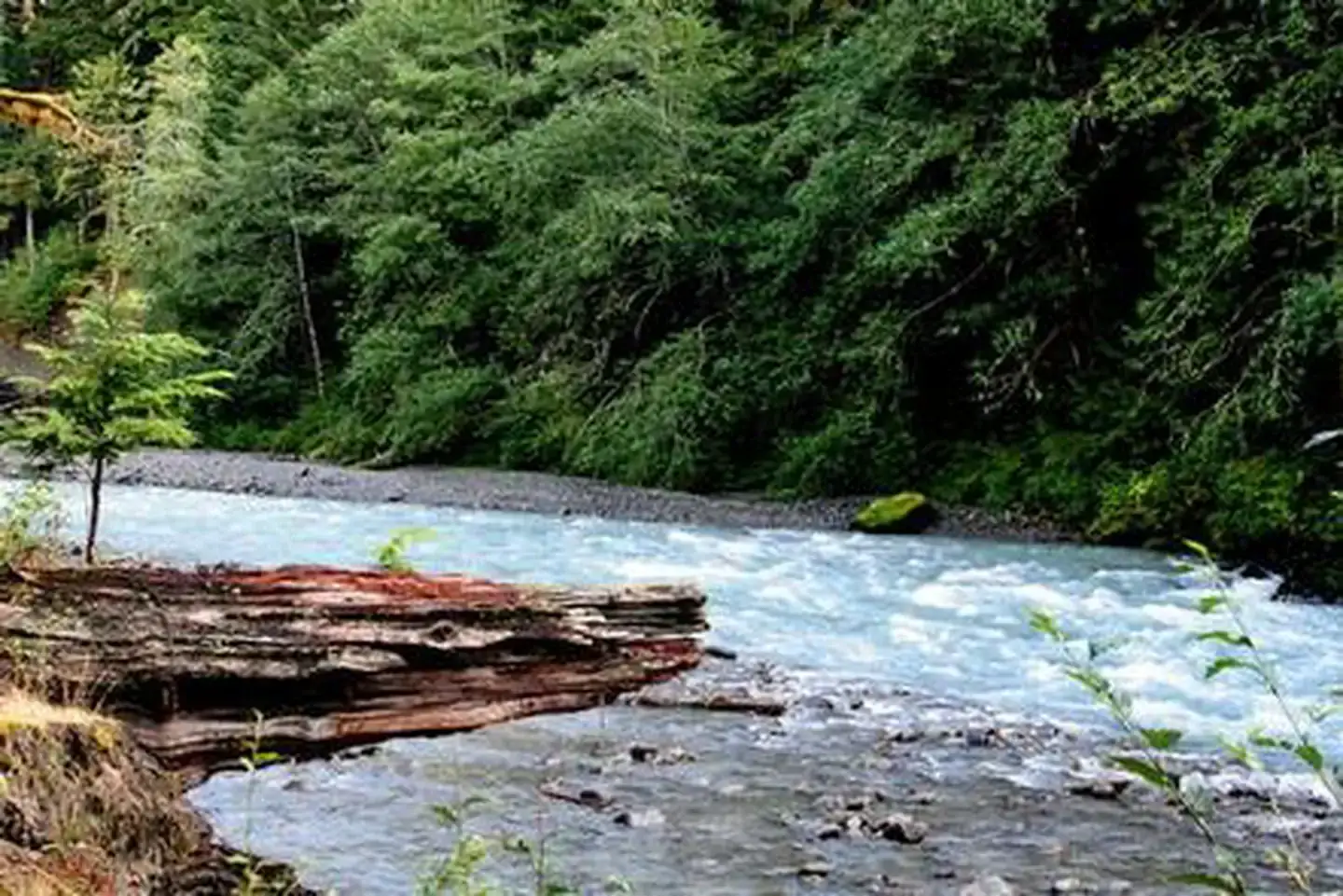 Camping near Mazama Lake on Chain Lakes Trail: Excelsior Group Camp, Maple Falls, Washington