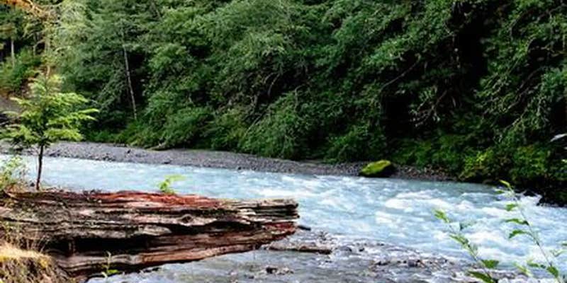 Camper submitted image from Excelsior Group Camp