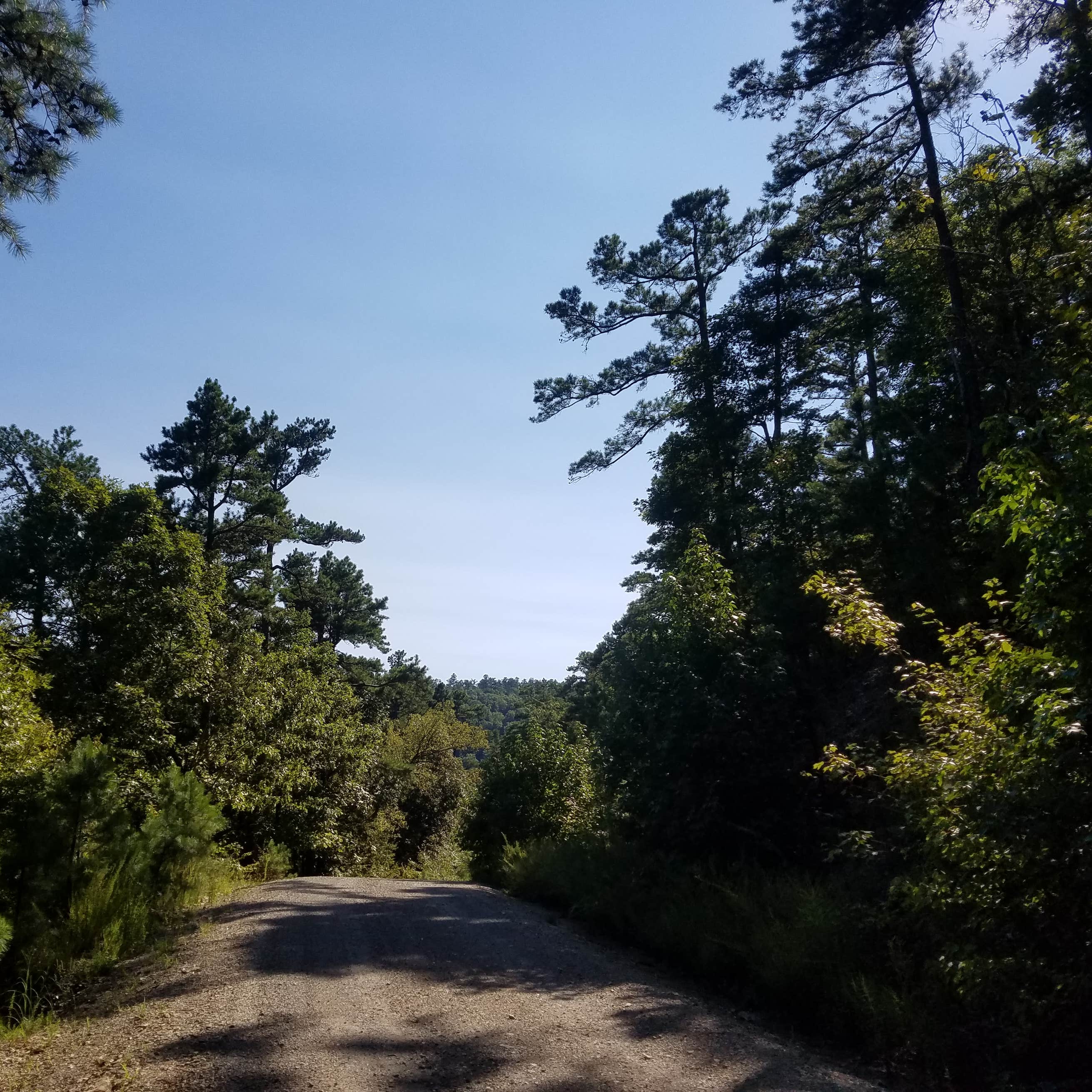 Charlton Campground Camping The Dyrt