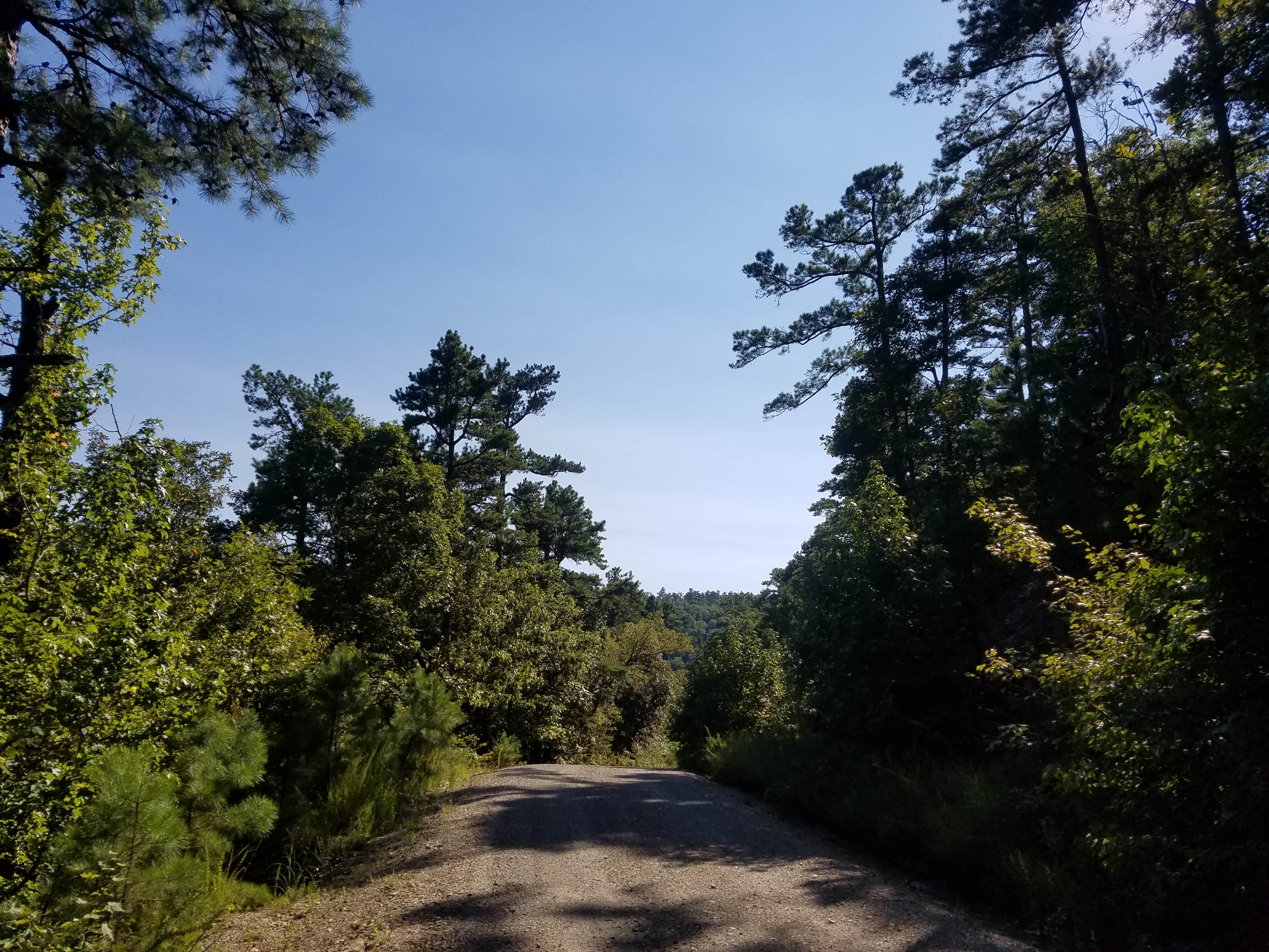 Camper submitted image from Charlton Campground - 5