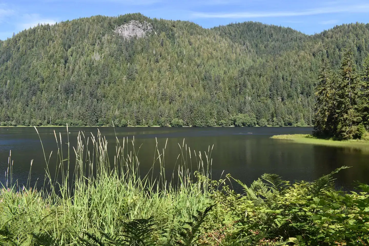 Camper-submitted photo at Heckman Lake Cabin near Ketchikan, AK