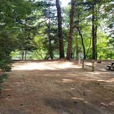 Review photo of Pemi River Campground by Jean C., August 29, 2019