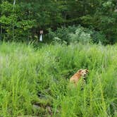 Review photo of Round Valley State Park Campground by Christina H., August 29, 2019