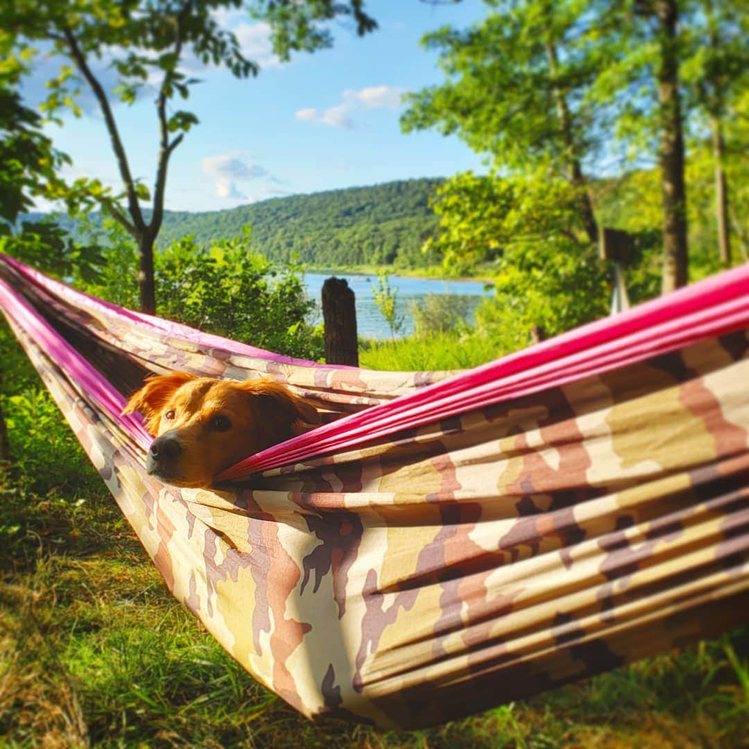 Camper-submitted photo at Round Valley State Park Campground near Fort Washington, PA