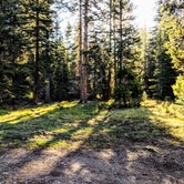 Review photo of Timber Camp Campground by Annika W., August 29, 2019