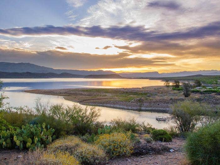 Camper submitted image from Roosevelt Lake - Cholla Campground - 4