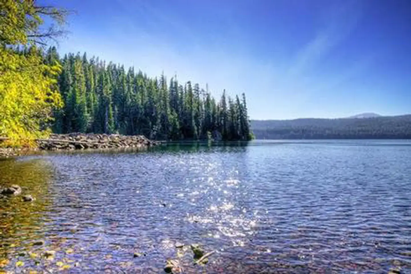 Camper-submitted photo at Sunset Cove Campground near Gilchrist, OR