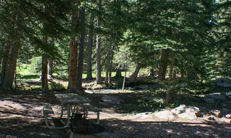 Camping near Middle Fork Campground: Buffalo Creek Campground, Lysite, Wyoming