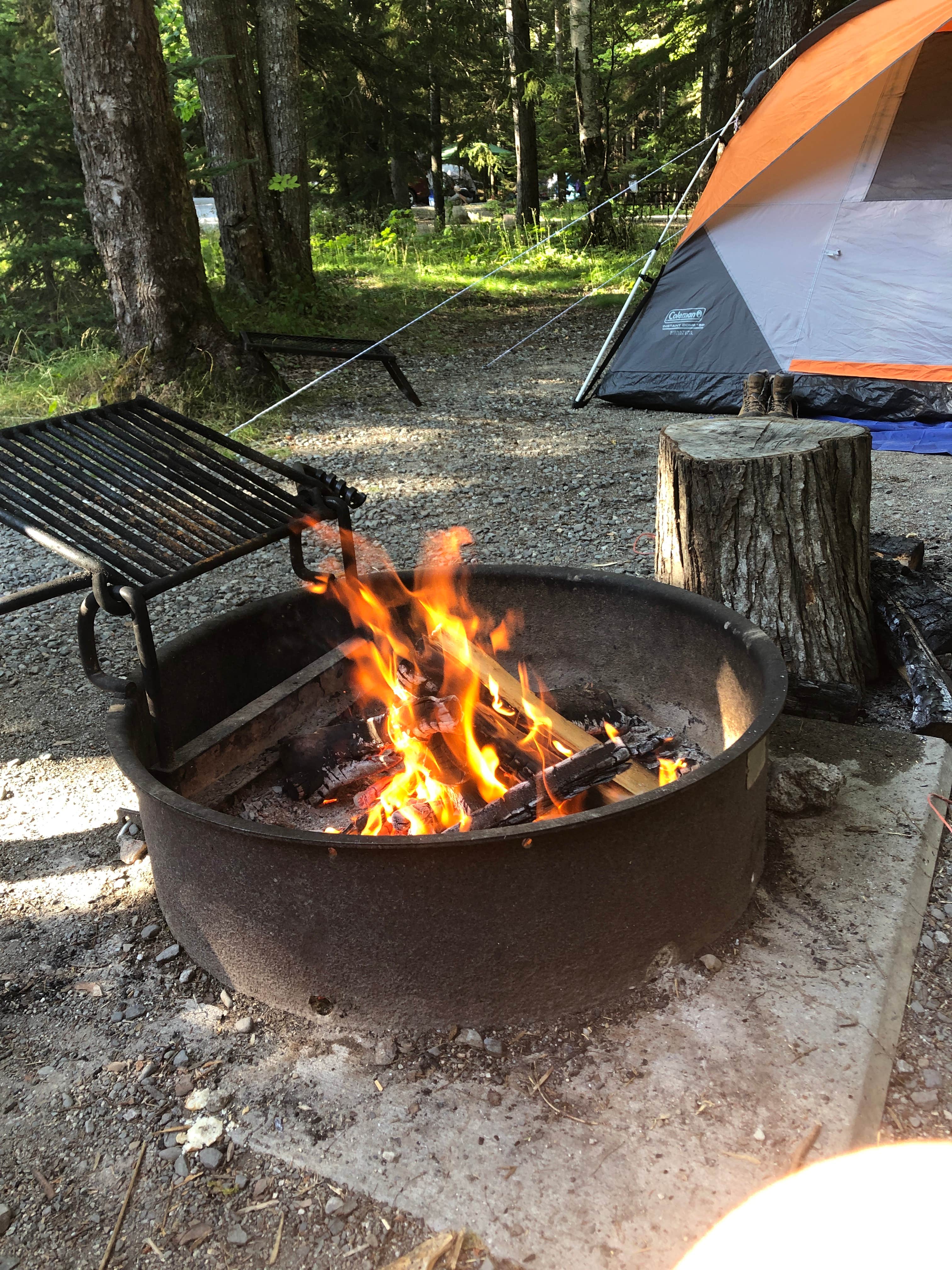 Liz D.'s photo at Blackwoods Campground — Acadia National Park near Acadia National Park