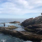 Review photo of Blackwoods Campground — Acadia National Park by Liz D., August 29, 2019