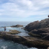 Review photo of Blackwoods Campground — Acadia National Park by Liz D., August 29, 2019