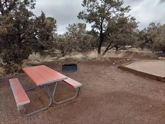 Camping near Starr Springs Campground — Bureau Of Land Management: Natural Bridges Campground, Blanding, Utah