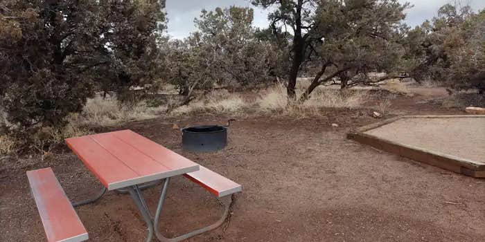 Camper submitted image from Natural Bridges Campground