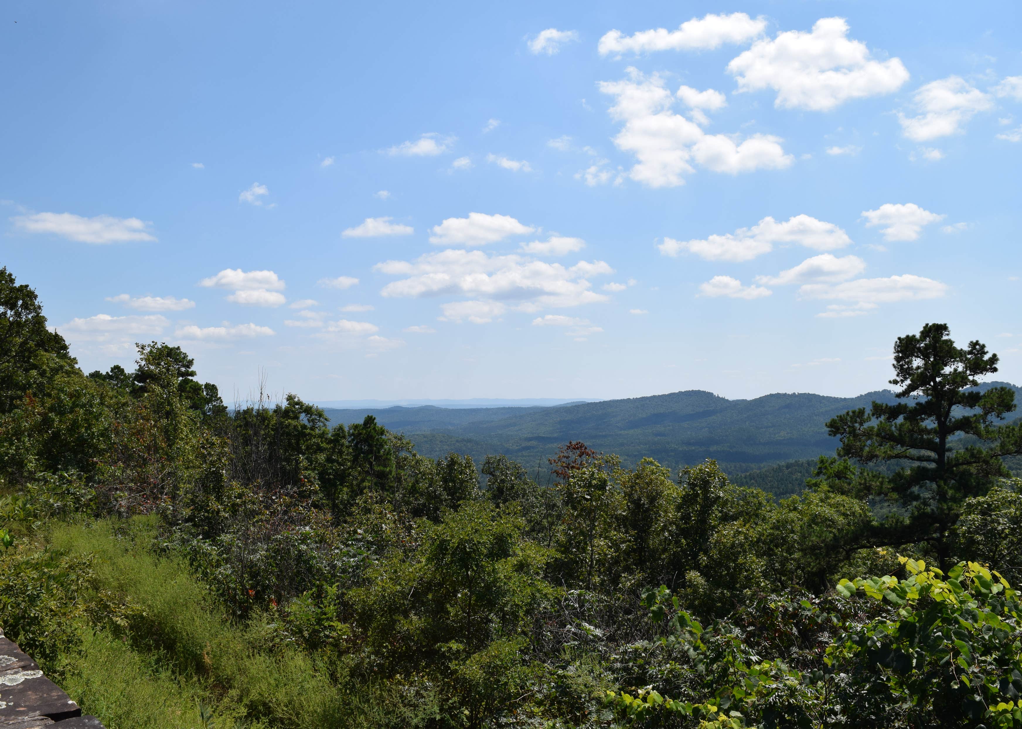 Charlton Campground Camping The Dyrt