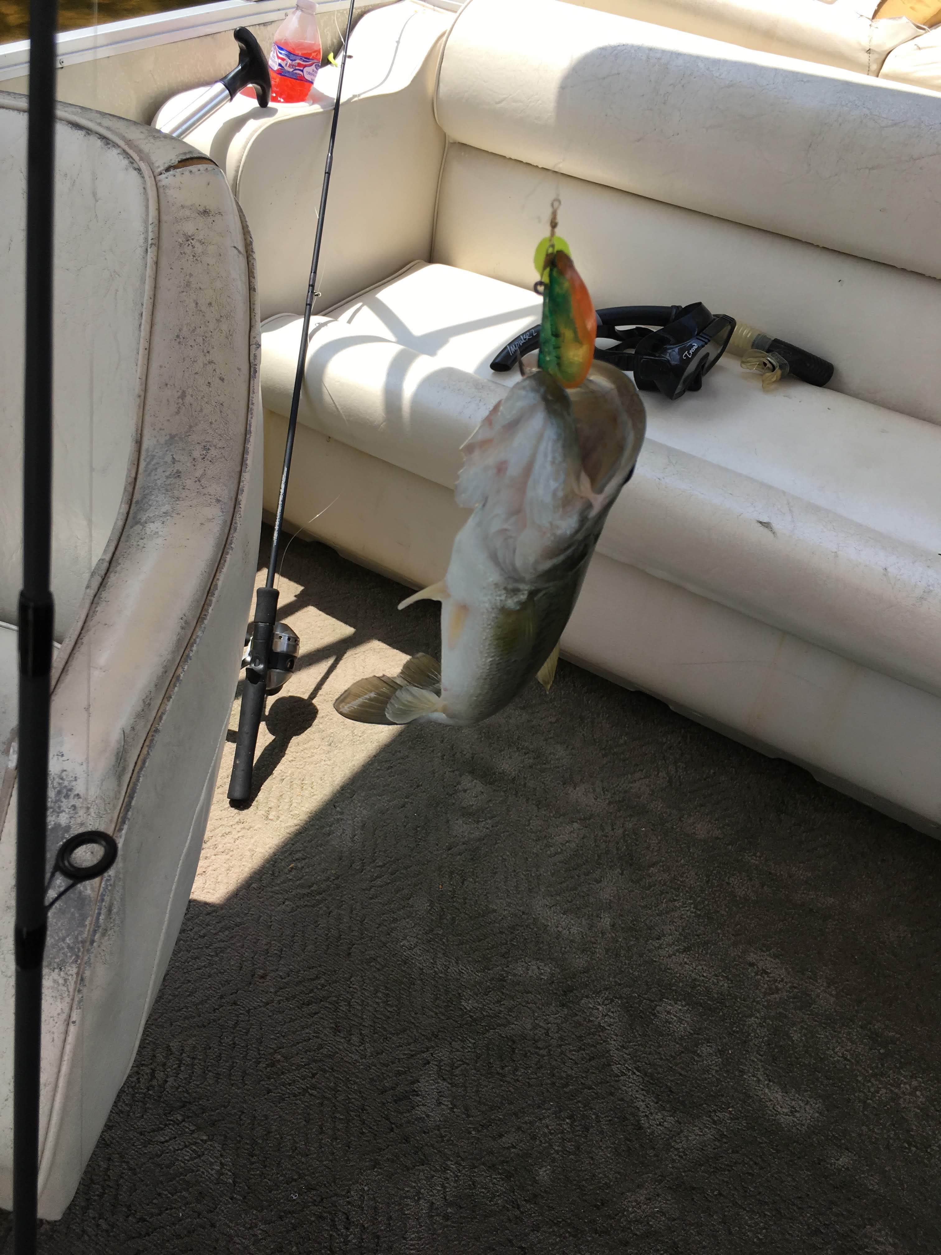 Camper submitted image from Grayson Lake State Park Campground - 3