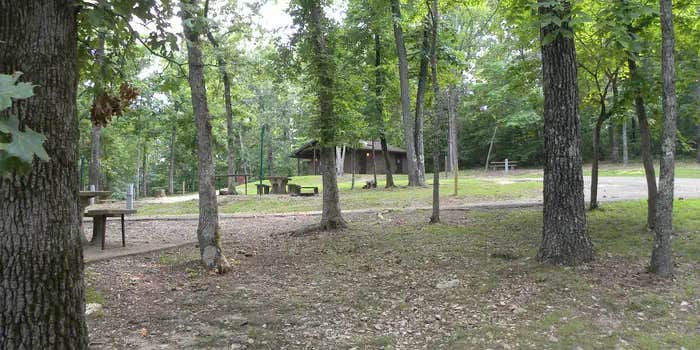 Camper submitted image from Webb Creek Park