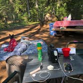 Review photo of Ice Cap Campground by Kimberly C., August 29, 2019