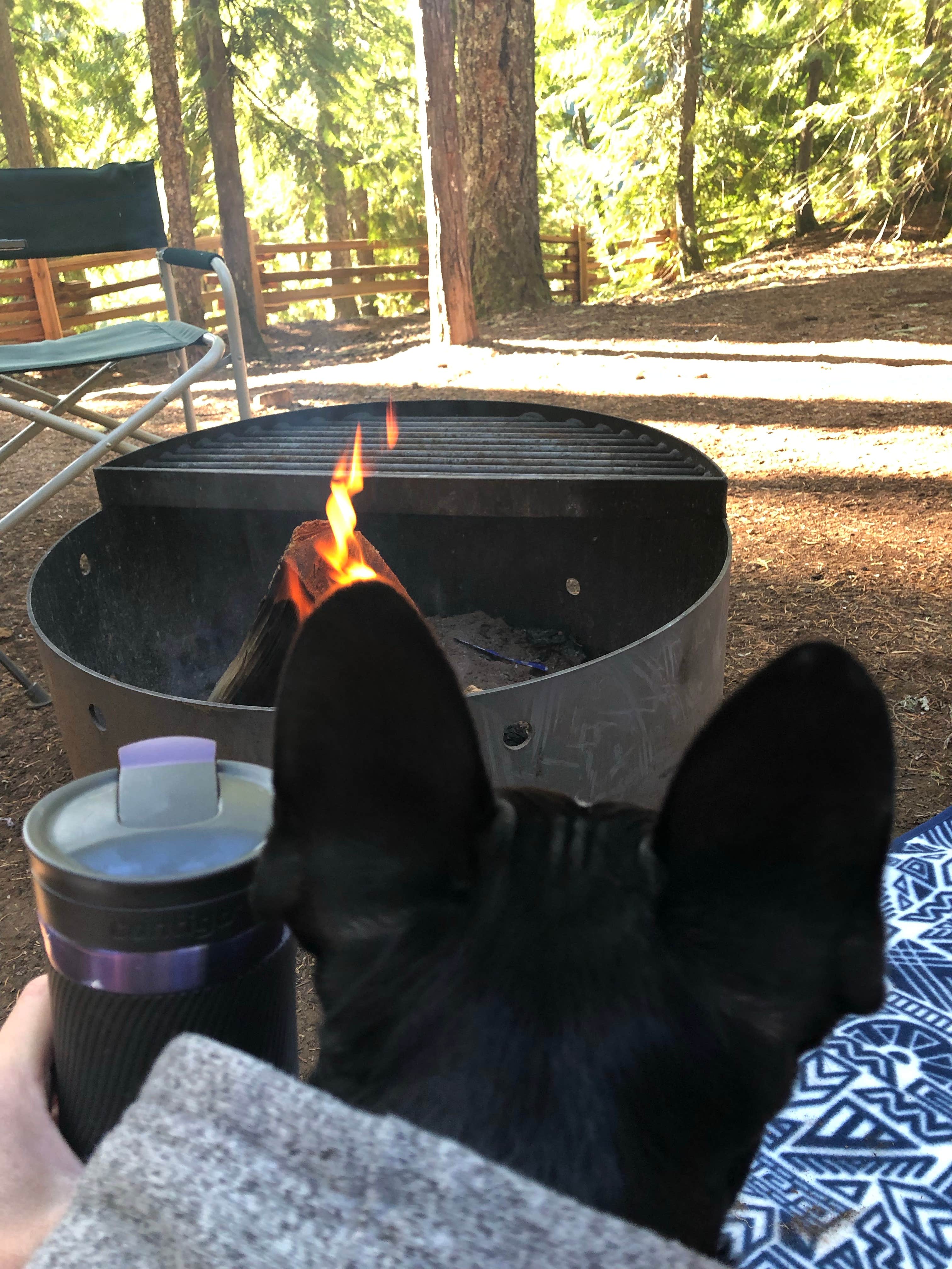 Camper submitted image from Ice Cap Campground - 2