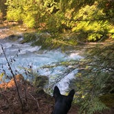Review photo of Ice Cap Campground by Kimberly C., August 29, 2019