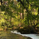 Review photo of Ice Cap Campground by Kimberly C., August 29, 2019