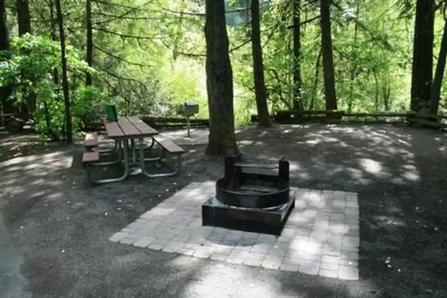 Camper-submitted photo at Susan Creek Campground near Idleyld Park, OR