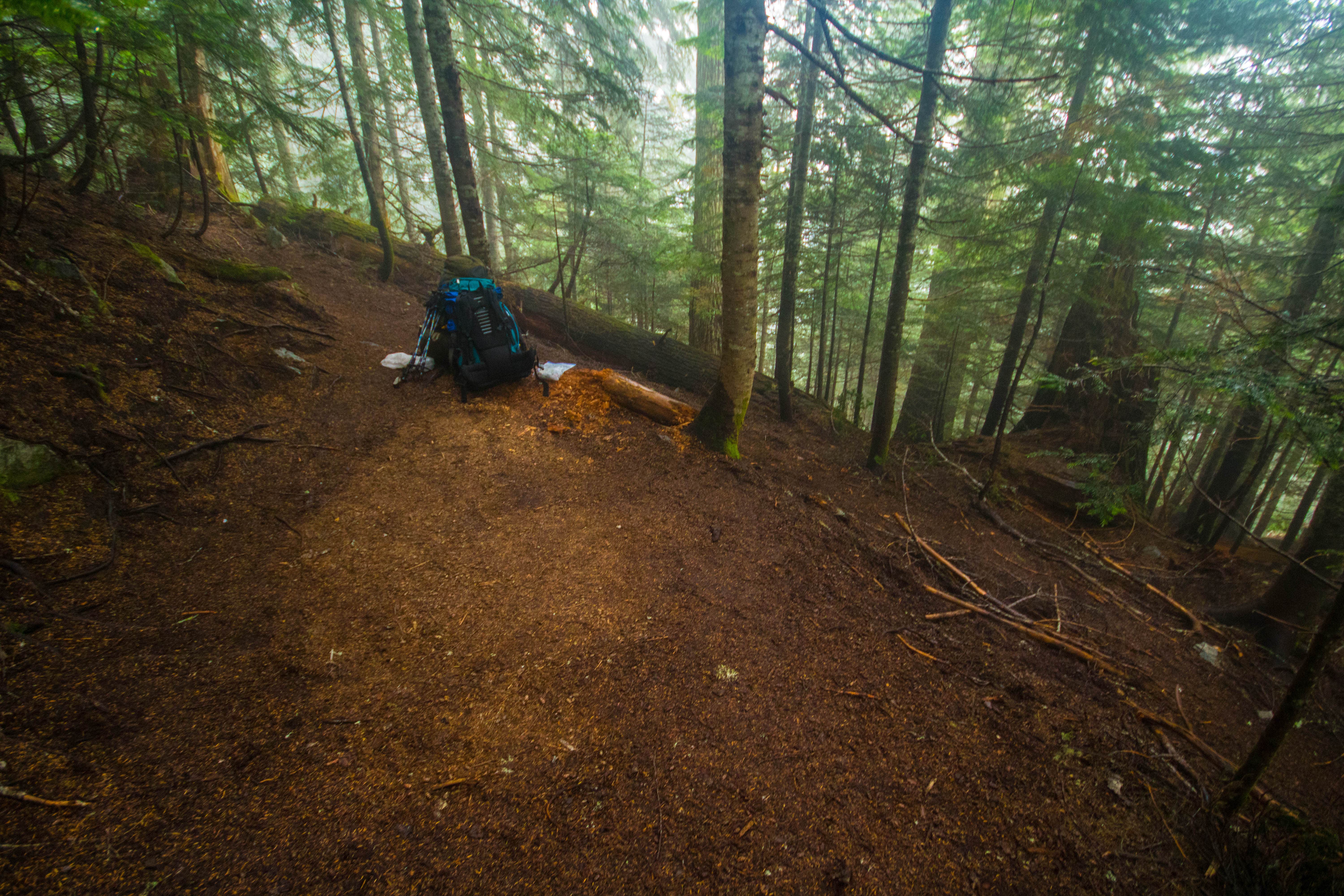Camping near Cottonwood Camp — North Cascades National Park: Johannesburg Campground — North Cascades National Park, North Cascades National Park, Washington